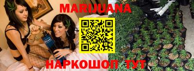 гидропоника Можга
