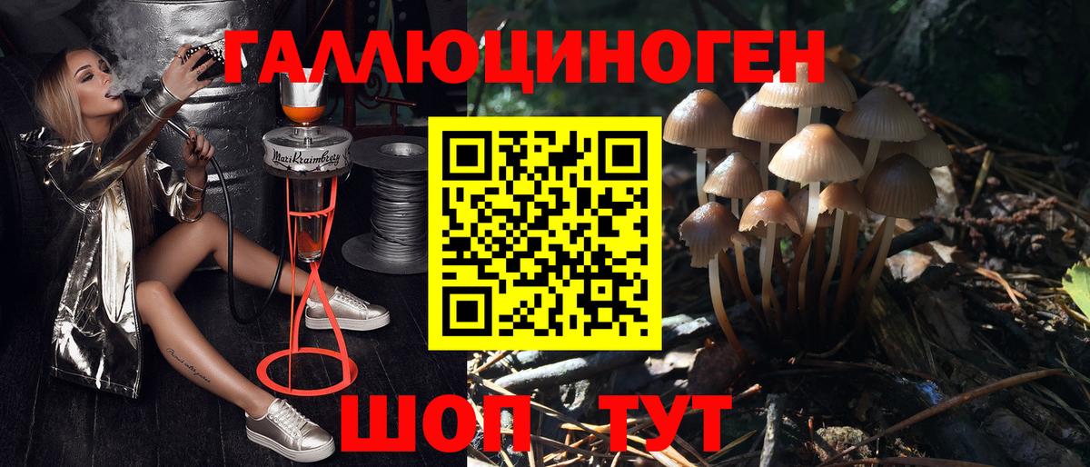 Галлюциногенные грибы Cubensis Воркута